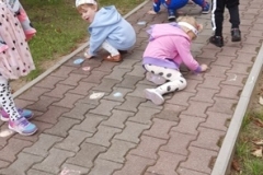 dkrg8