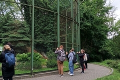 img_20250609_100253